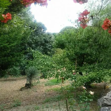 Casa Da Eira - Country House - Santa Cruz do Douro