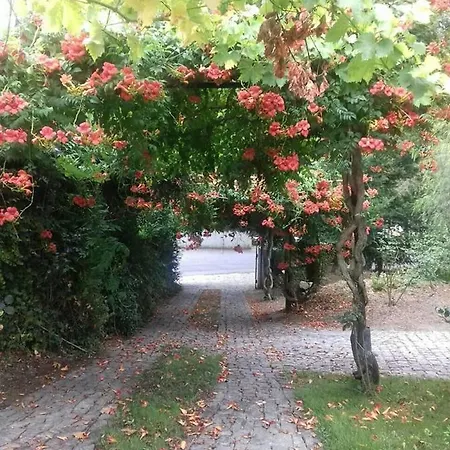 Casa Da Eira - Country House - * Santa Cruz do Douro
